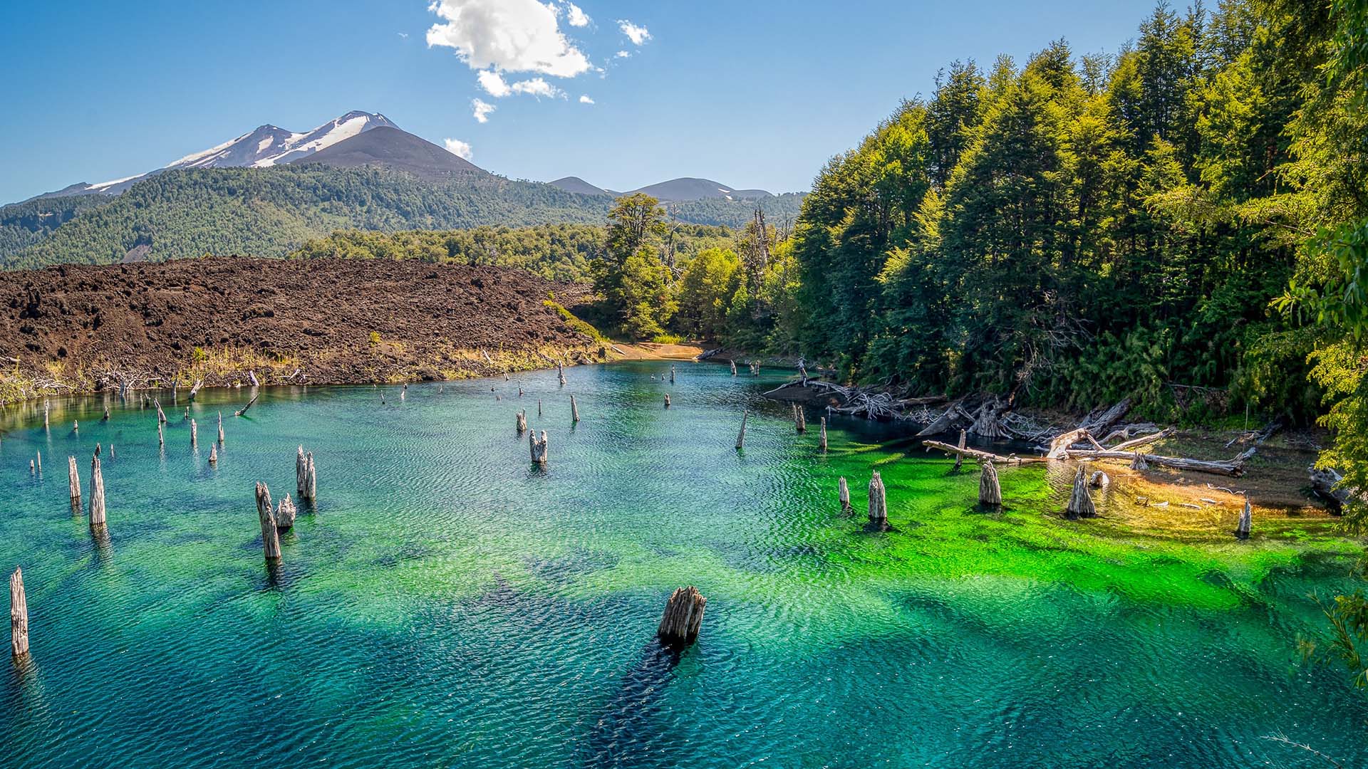 Lago Conguillio